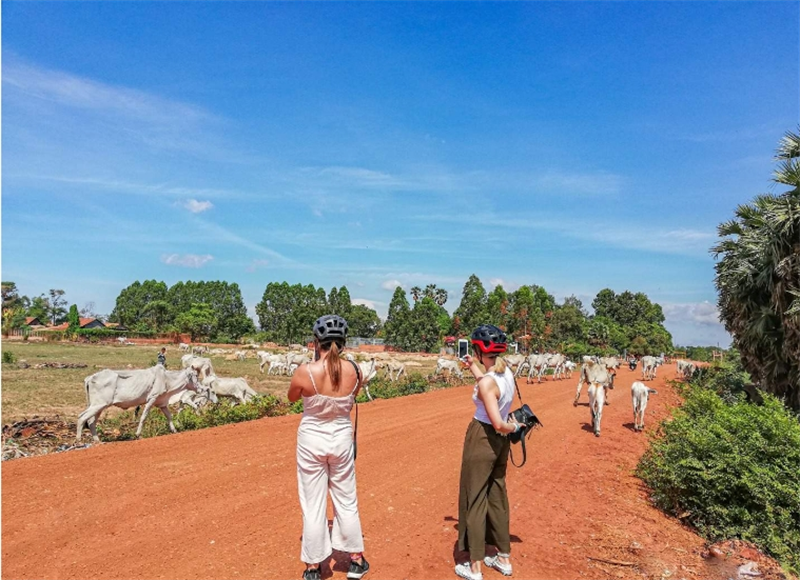 캄보디아 씨엠립 일몰 자전거 투어 솔직 후기 | 실사용자 리뷰 분석 - 대표 이미지