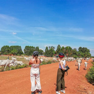 캄보디아 씨엠립 일몰 자전거 투어 솔직 후기 | 실사용자 리뷰 분석 - 상품 이미지 1