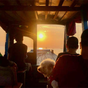 캄보디아 캄퐁 플럭 수상 마을 선셋 보트 투어 (Vespa) 솔직 후기 | 실사용자 리뷰 분석 - 상품 이미지 4