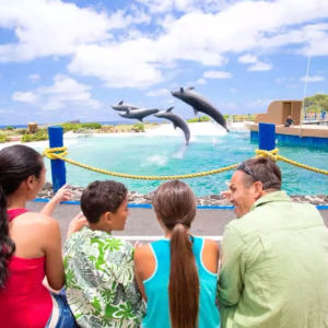 하와이 오아후 고카드 Go Card | 올 인클루시브 패스 (Oahu A... 솔직 후기 | 실사용자 리뷰 분석 - 상품 이미지 2