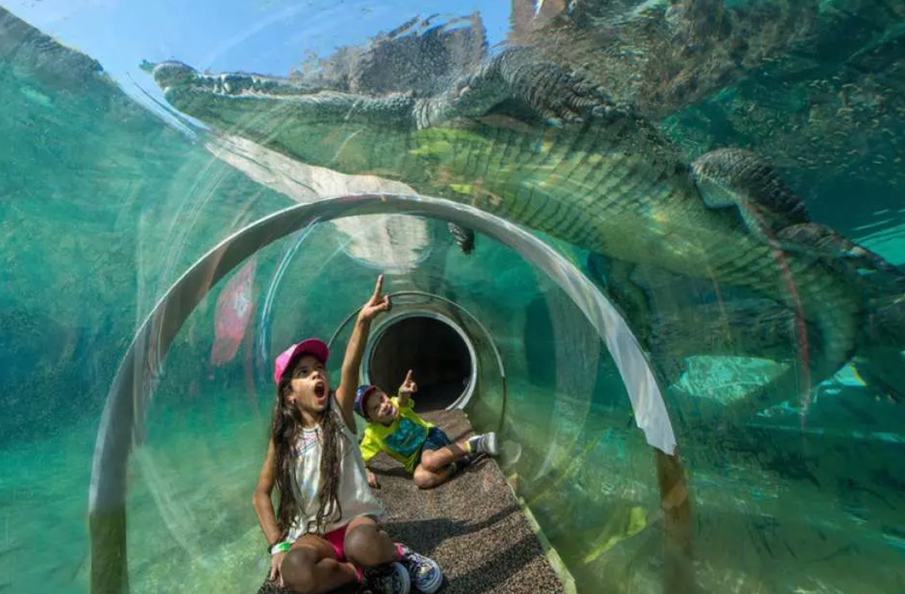 마이애미 GO 올 인클루시브 패스 | Miami All-Inclusive Pass 이미지 2