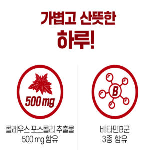 내츄럴플러스 콜레우스포스콜리 비타민B군 맛있게 먹은 솔직 후기 - 상품 이미지 2