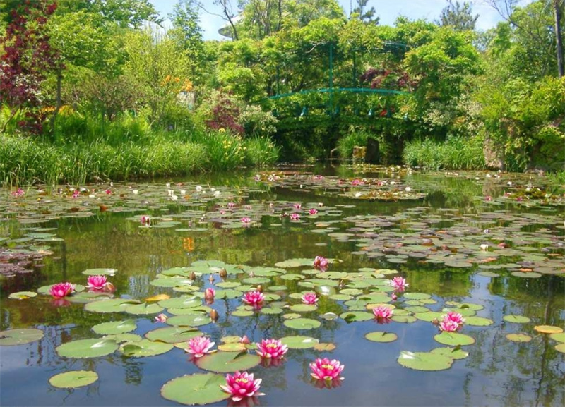 일본  교토  시가 가든 뮤지엄 스카이 가든 뮤지엄 근처 히에이 입장권 예매 (교토 부 시가 현 후지산) 이미지 3