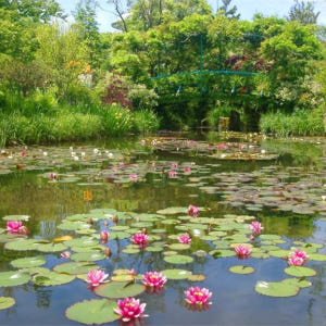 일본  교토  시가 가든 뮤지엄 스카이 가든 뮤지엄 근처 히에이 입장권 ... 솔직 후기 | 실사용자 리뷰 분석 - 상품 이미지 3