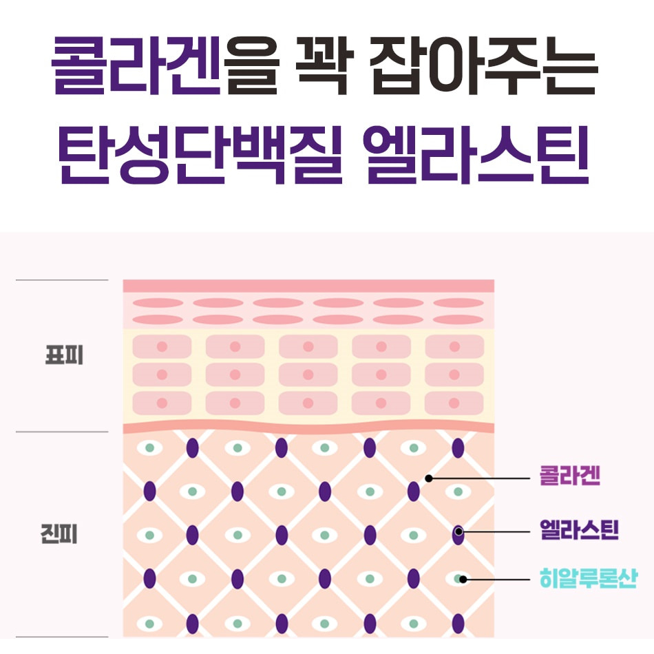 말 엘라스틴 3세대 데스모신 말항인대 LN 탄성단백질 300달톤 콜라겐 정 - 상세 이미지 3