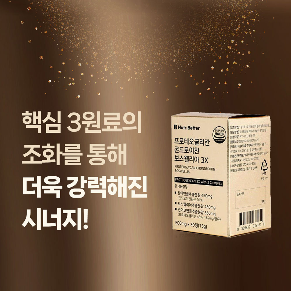 프로테오글리칸 콘드로이친 보스웰리아 관절 건강 관절 관리법