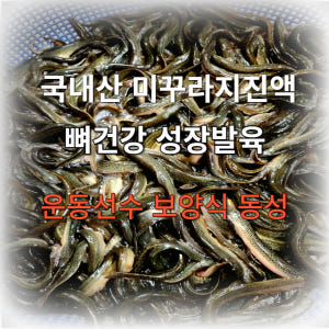 미꾸라지즙 기력회복 보양식 원기회복 미꾸라지 엑기스 진액 110ml 12... 맛있게 먹은 솔직 후기 - 상품 이미지 2