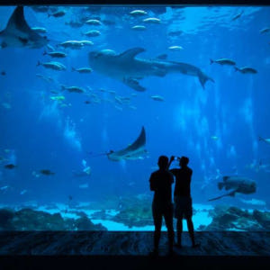 고시티 | 보스턴 올인클루시브 패스 (선택적 유효기간) Boston Al... 솔직 후기 | 실사용자 리뷰 분석 - 상품 이미지 3