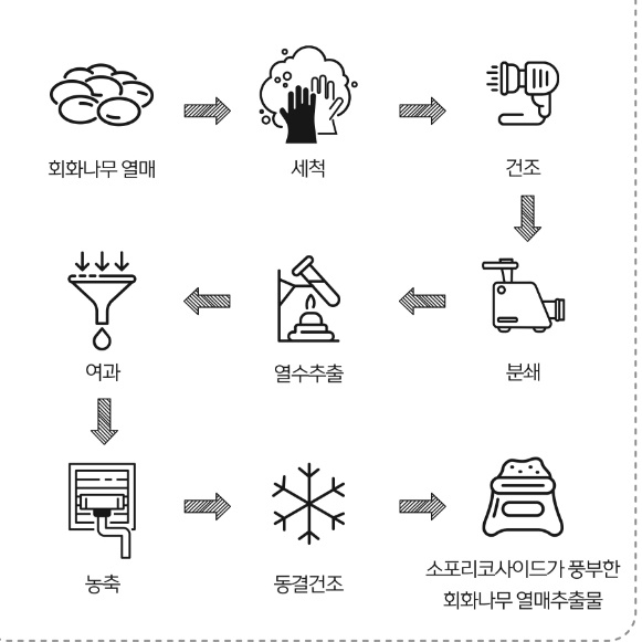 여성갱년기영양제 식물성 에스트로겐 영양제 갱년기건강기능식품 이미지 6