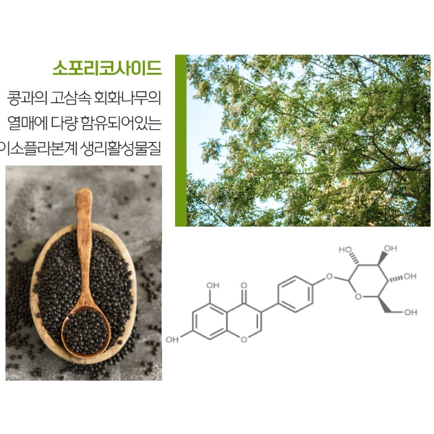 여성갱년기영양제 식물성 에스트로겐 영양제 갱년기건강기능식품 이미지 7