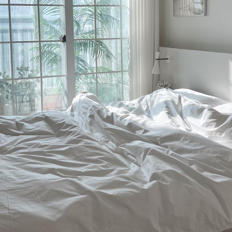 구스이불 호텔 이불솜 거위털 겨울 다운 사계절 여름 사계절용 단품 S 600g