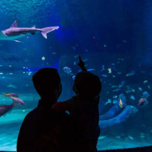 올랜도 GO 올 인클루시브 패스 | Orlando All-Inclusiv... 솔직 후기 | 실사용자 리뷰 분석 - 상품 이미지 4