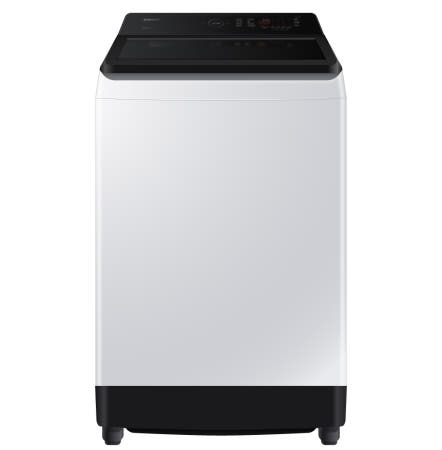 삼성전자 WA10CG5441BW (다온)