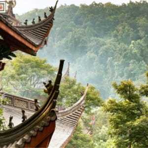 중국  중국 항저우 | 서호 + 용정 산원 차 문화 마을 + 영은사 - ... 솔직 후기 | 실사용자 리뷰 분석 - 상품 이미지 3