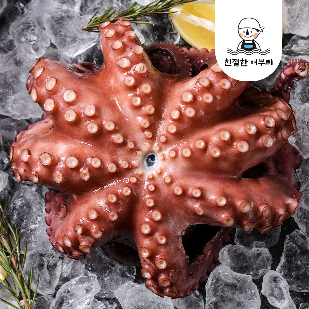 국내산 자연산 문어 자숙 돌문어 냉동 숙회 친절한어부씨 1.4kg, 1개