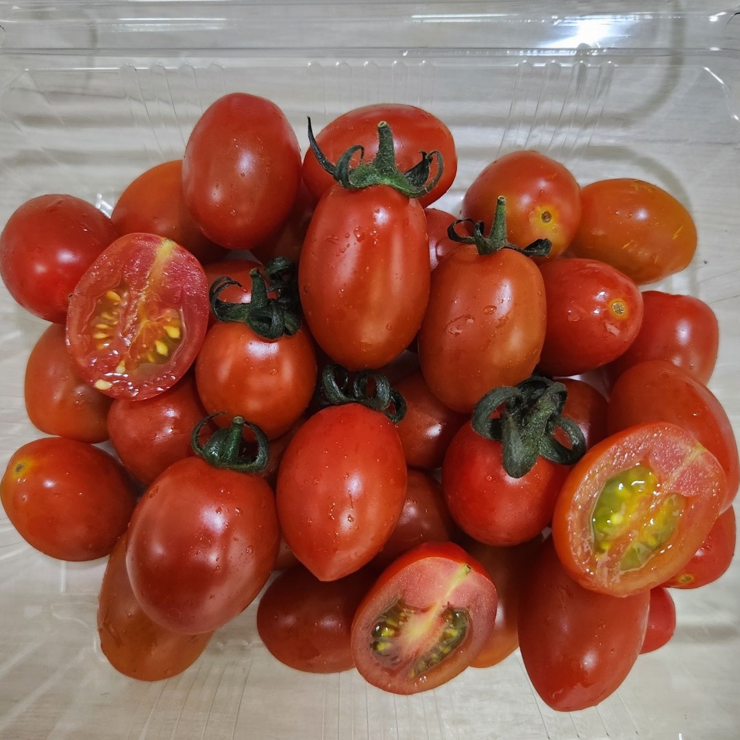 스테비아 방울토마토 착한 가격 자연담은 1kg 후기