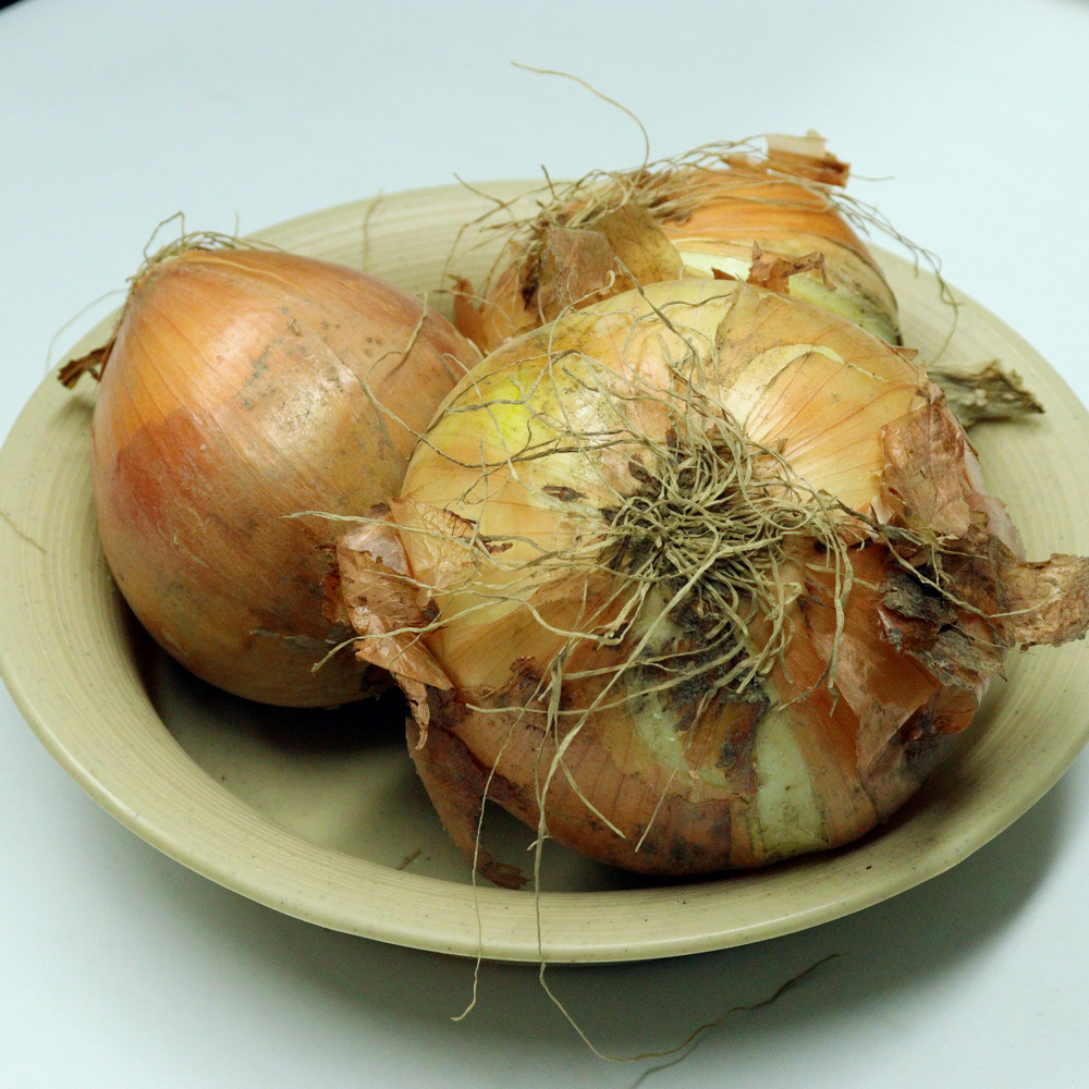 [용산구 배달] 양파 1kg [용문 건강야채] : 동네시장 장보기