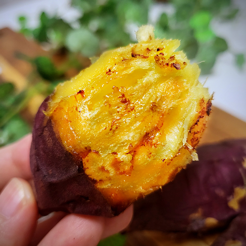 산지직송 해남 꿀고구마 10kg 구성 호박 고구마 베니하루카 다이어트