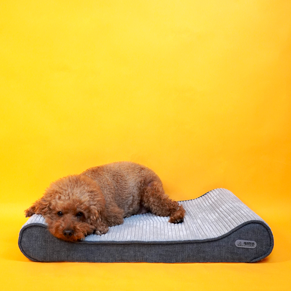 개과천선 로이 애견 방석 강아지방석 슬개골예방 견체공학적