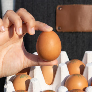 난각번호1번 계란 유정란 20구 달걀 무항생제 자연방사 맛있게 먹은 솔직 후기 - 상품 이미지 2