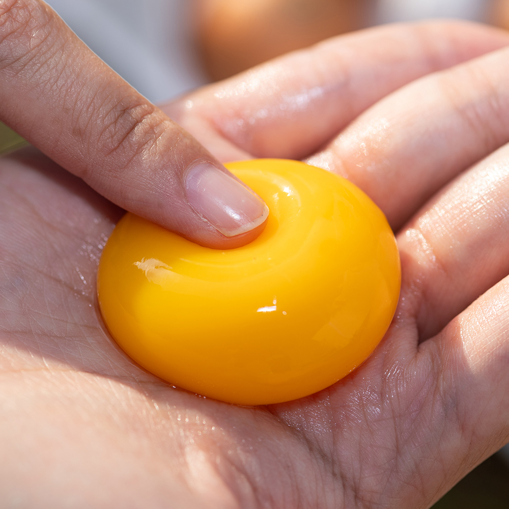 난각번호1번 계란 유정란 20구 달걀 무항생제 자연방사