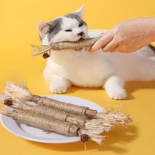고냥냥 고양이 캣닢 마따따비 이갈이 장난감