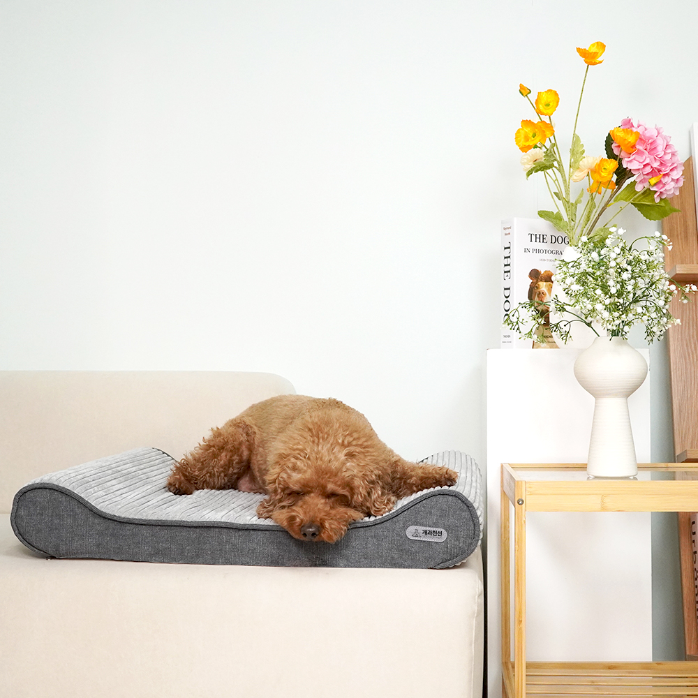 개과천선 로이 애견 방석 강아지방석 슬개골예방 견체공학적