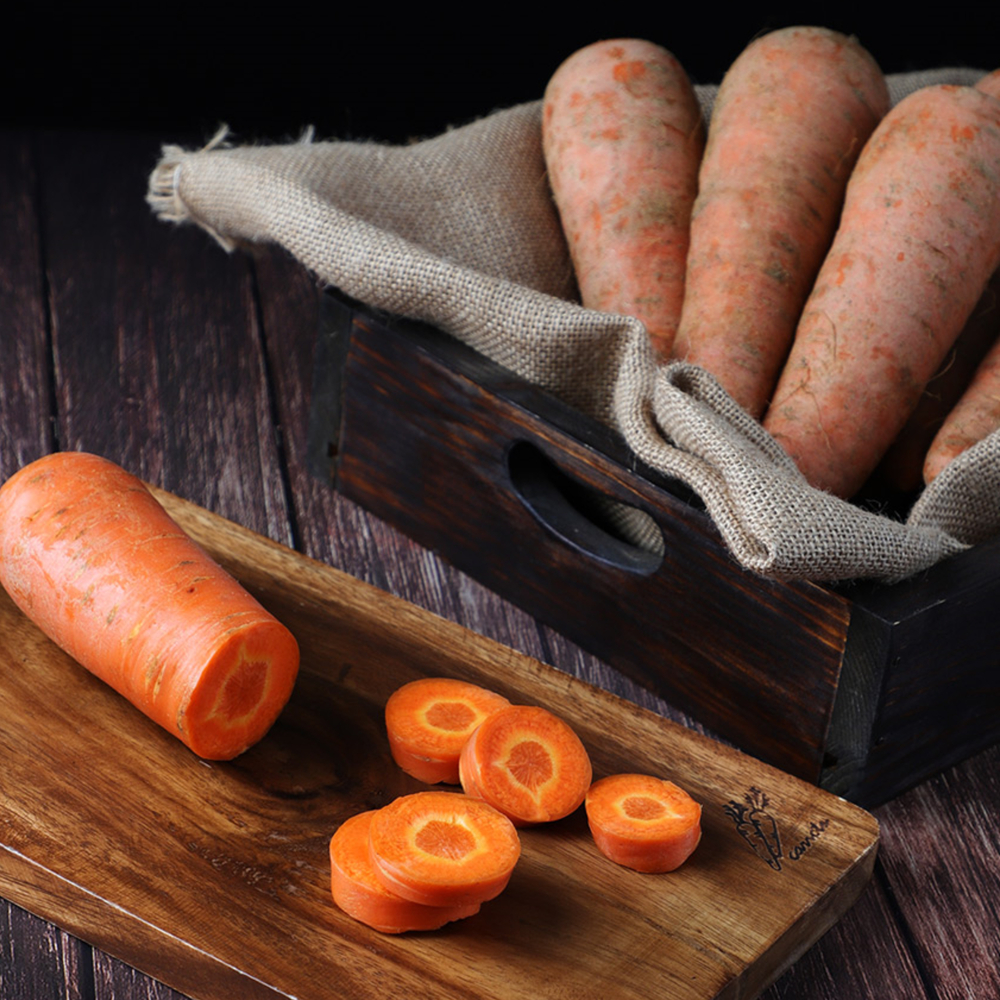 제주 구좌 흙당근 비세척 햇당근 강원도