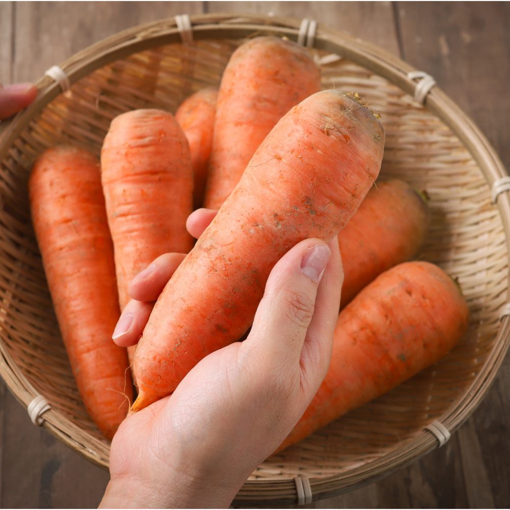 제주 구좌 흙당근 비세척 햇당근 강원도