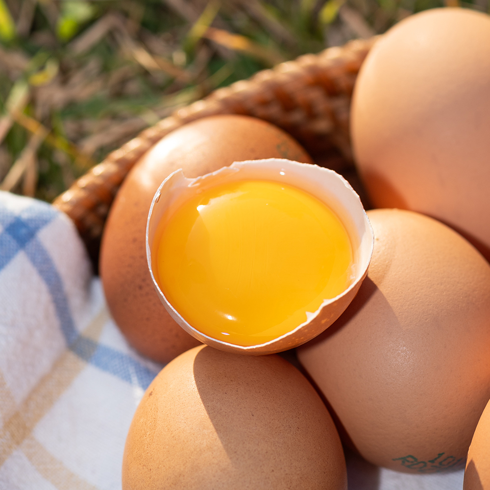 난각번호1번 계란 유정란 20구 달걀 무항생제 자연방사