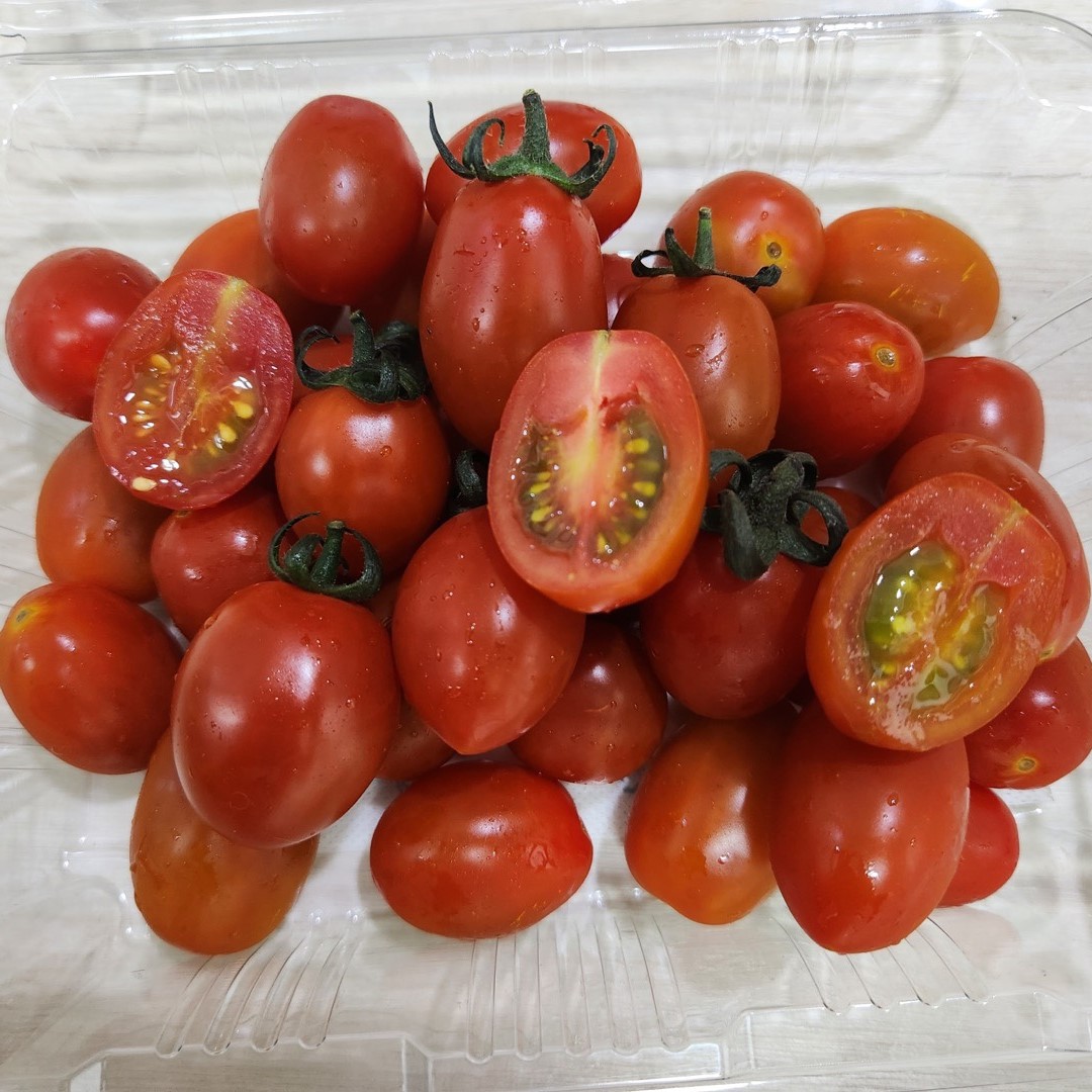 스테비아 방울토마토 착한 가격 자연담은 1kg 후기
