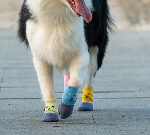 위드레오 강아지양말 대형견 중형견 소형견 미끄럼방지 강아지신발 슬개골보호 못난이형제 핑크