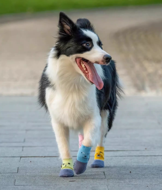 위드레오 강아지양말 대형견 중형견 소형견 미끄럼방지 강아지신발 슬개골보호 못난이형제 핑크
