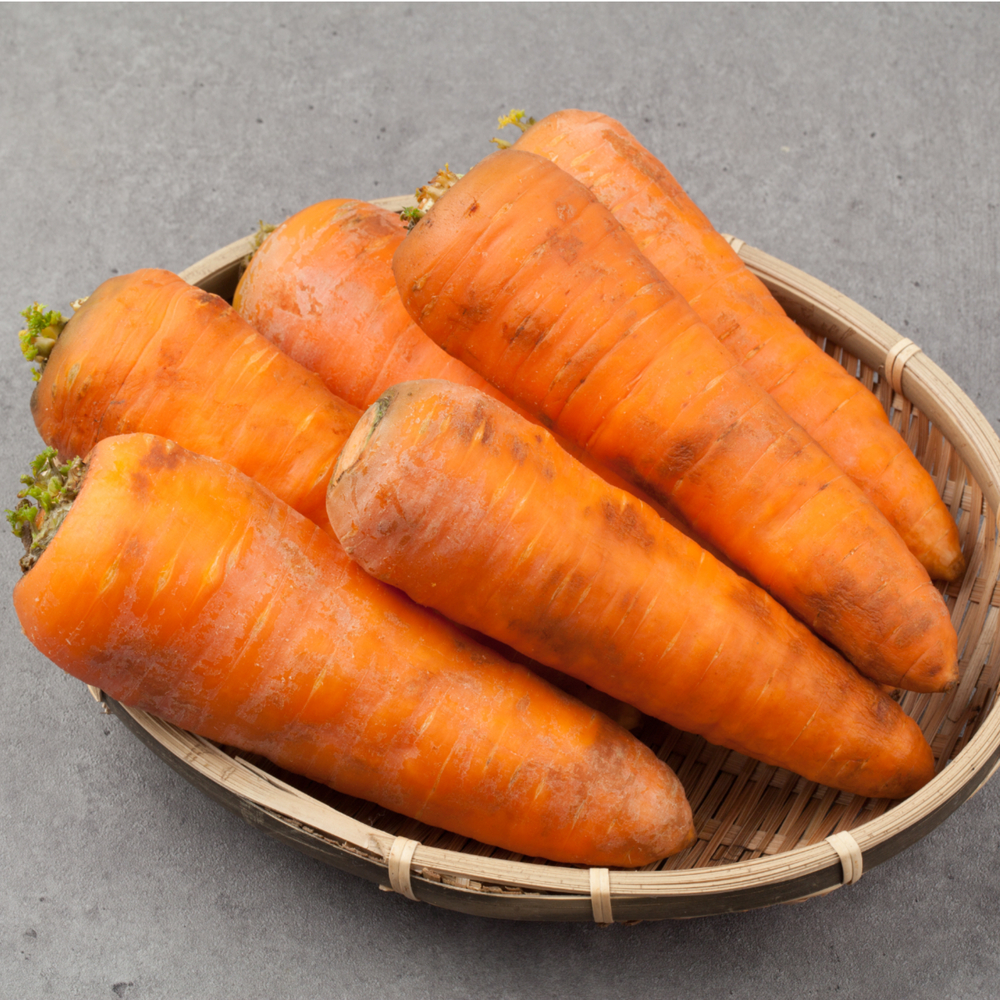 제주 구좌 흙당근 비세척 햇당근 강원도