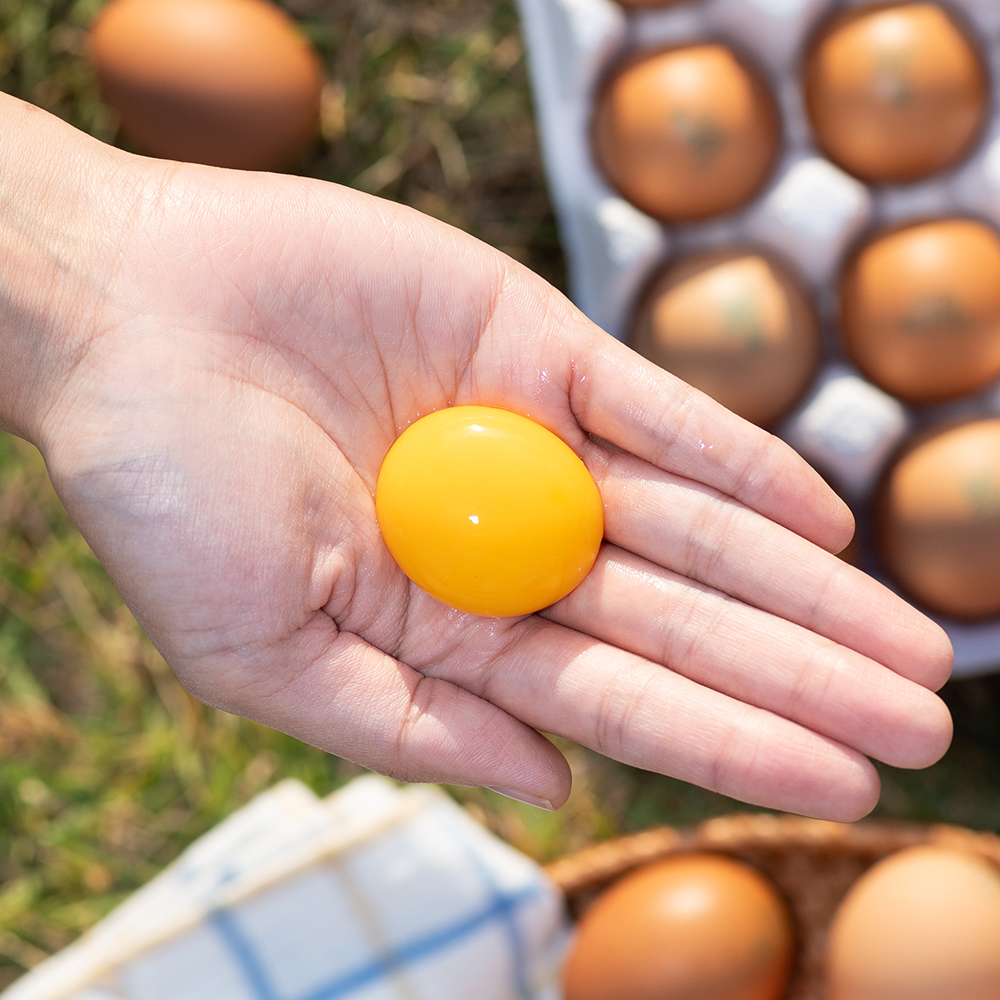 난각번호1번 계란 유정란 20구 달걀 무항생제 자연방사
