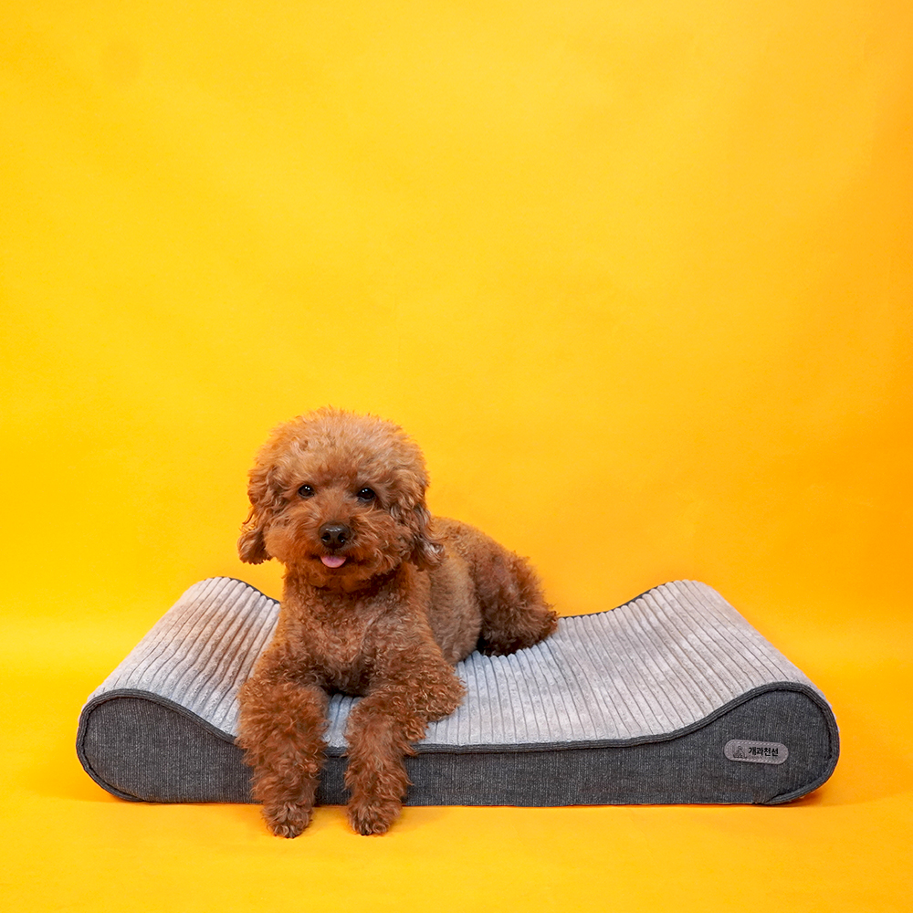 개과천선 로이 애견 방석 강아지방석 슬개골예방 견체공학적