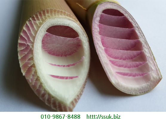 줄풀토복령즙 1박스 60포 토복령 고장초 진액 망개뿌리 엑기스 청미래덩굴 효능 이미지 4