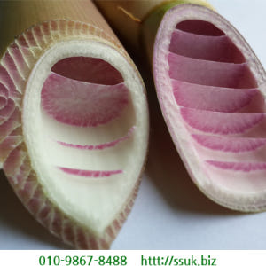 줄풀토복령즙 1박스 60포 토복령 고장초 진액 망개뿌리 엑기스 청미래덩굴... 맛있게 먹은 솔직 후기 - 상품 이미지 4