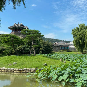 서울 출발 수원 화성 개인 종일 투어 솔직 후기 | 실사용자 리뷰 분석 - 상품 이미지 2