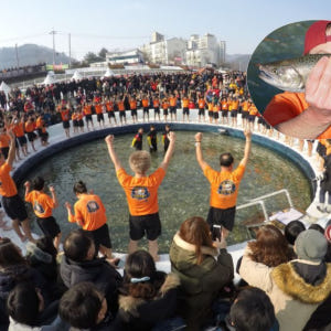 서울에서 출발 화천 얼음낚시 및 조명축제 솔직 후기 | 실사용자 리뷰 분석 - 상품 이미지 2