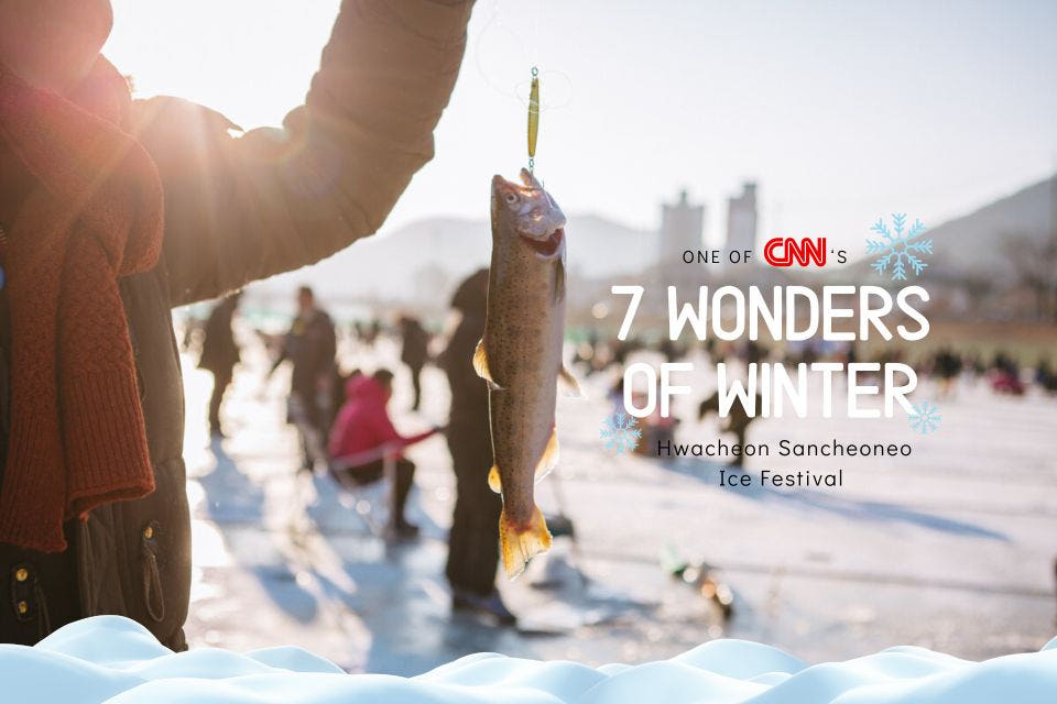 뜨거운청춘 화천 얼음낚시 및 조명축제