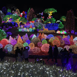 서울에서 출발 화천 얼음낚시 및 조명축제 솔직 후기 | 실사용자 리뷰 분석 - 상품 이미지 3