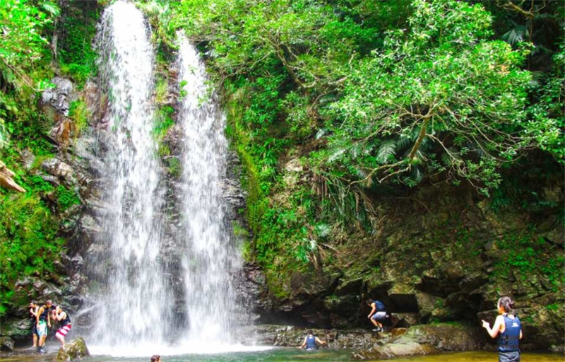 일본  오키나와 어린아이도 안심할 수 있는 얀바루 청류 트레킹 투어! 사진/동영상 촬영 서비스 있음(오키나와/얀바루) 이미지 2