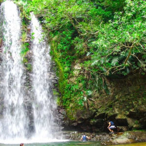 일본  오키나와 어린아이도 안심할 수 있는 얀바루 청류 트레킹 투어! 사... 솔직 후기 | 실사용자 리뷰 분석 - 상품 이미지 2