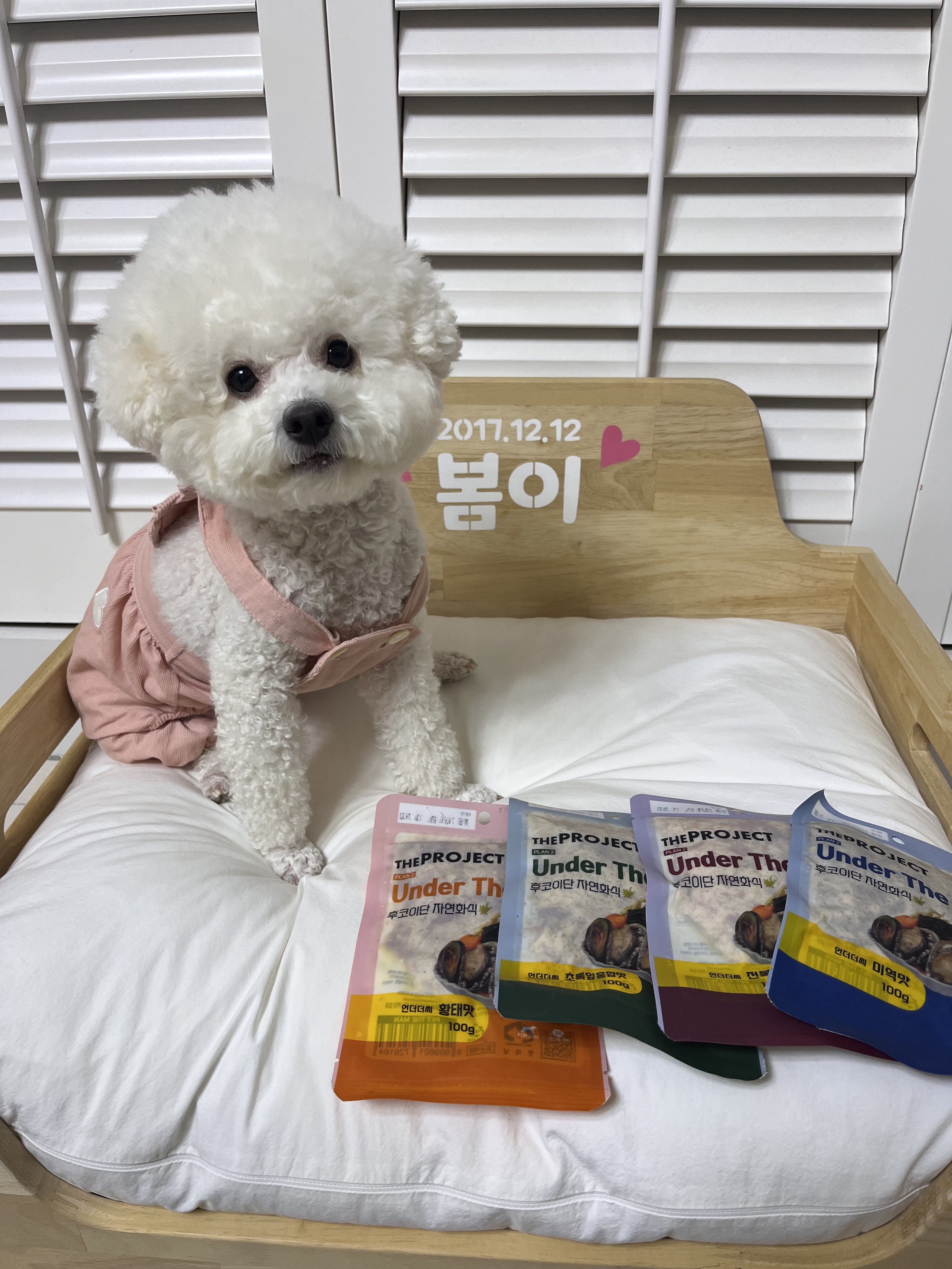 펫러닝 강아지 화식 반려견 자연식 수제사료 실온보관 4개입 이미지 7