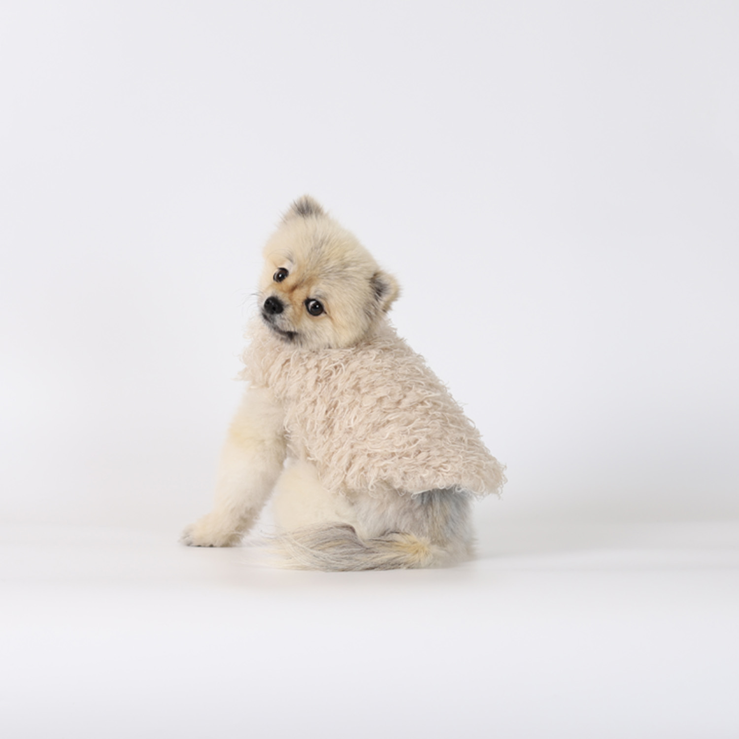 강아지겨울코트 몽루(COCOON)