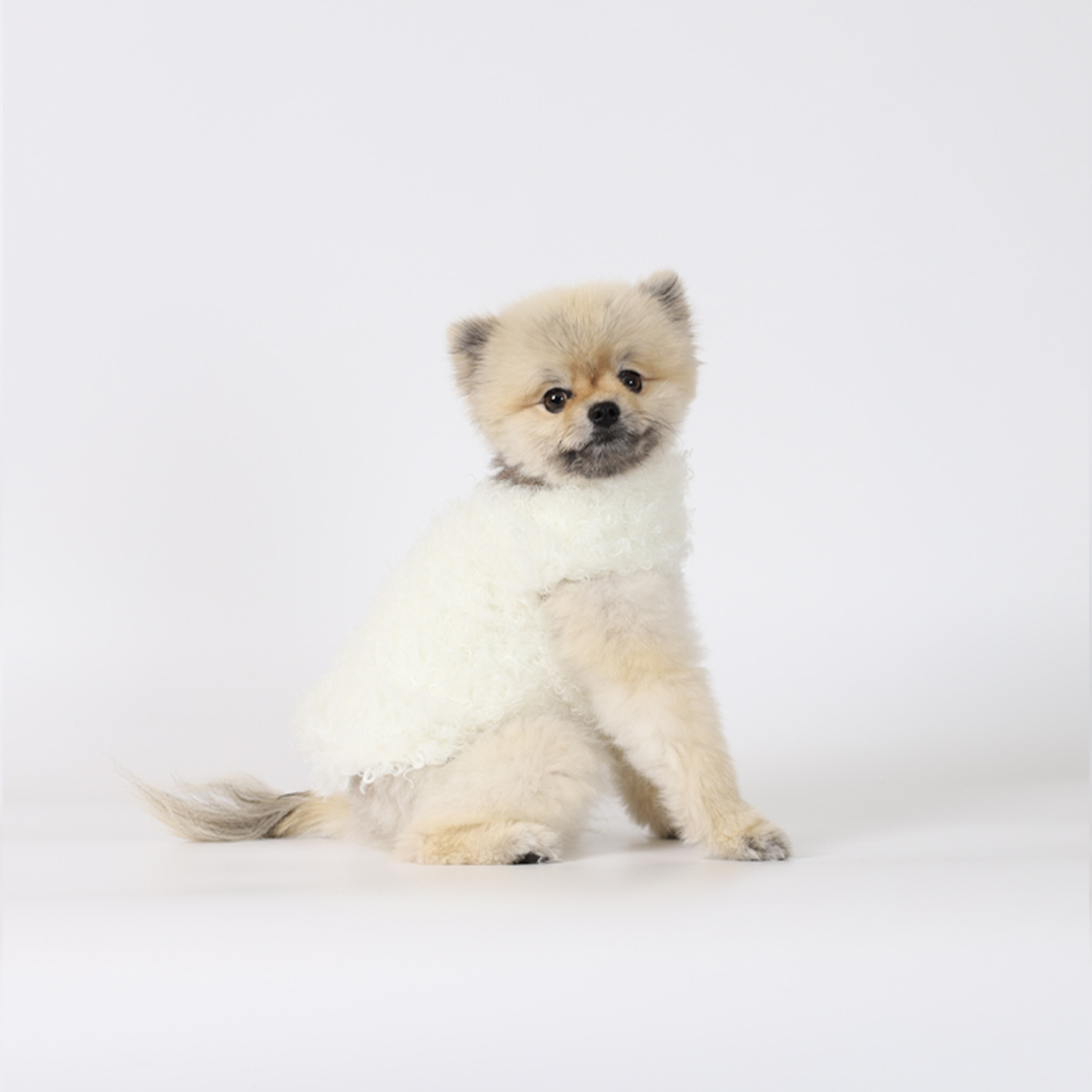 강아지겨울코트 몽루(COCOON)