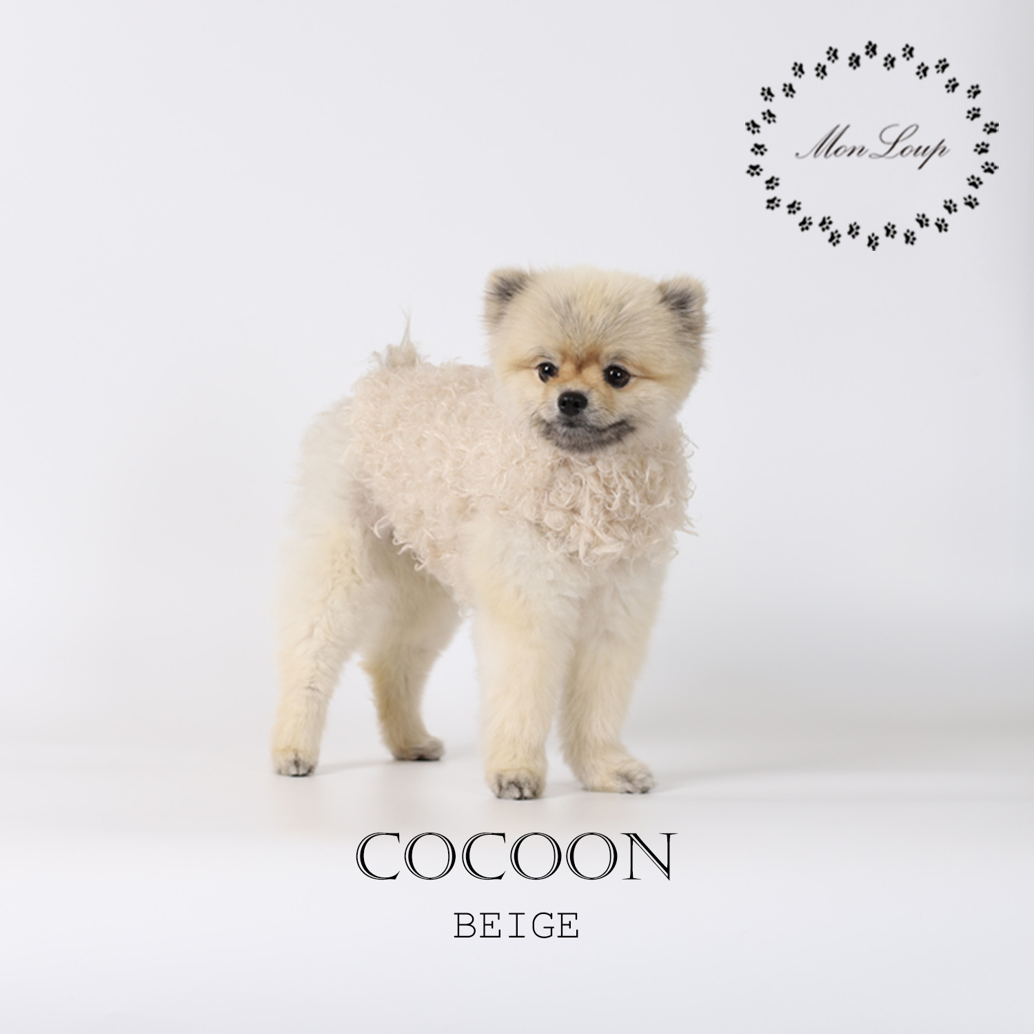 강아지겨울코트 몽루(COCOON)