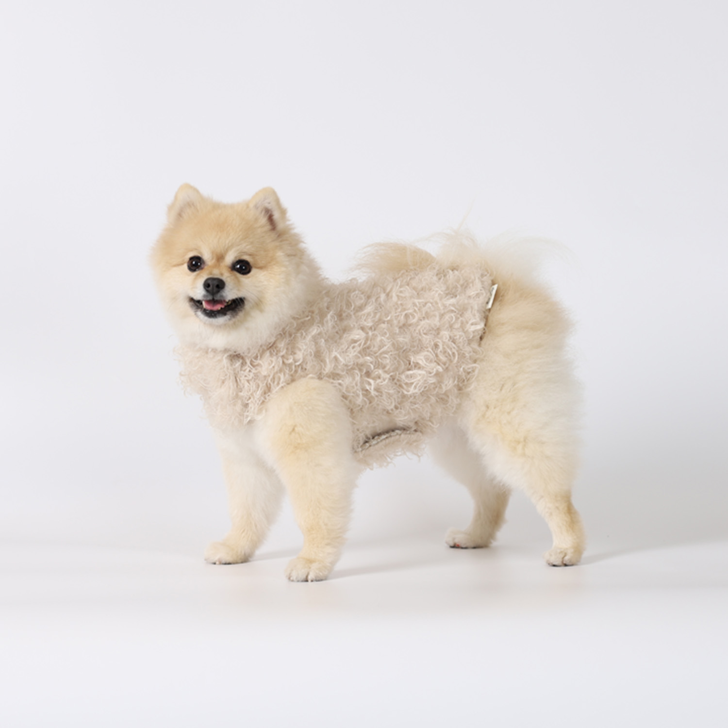 강아지겨울코트 몽루(COCOON)