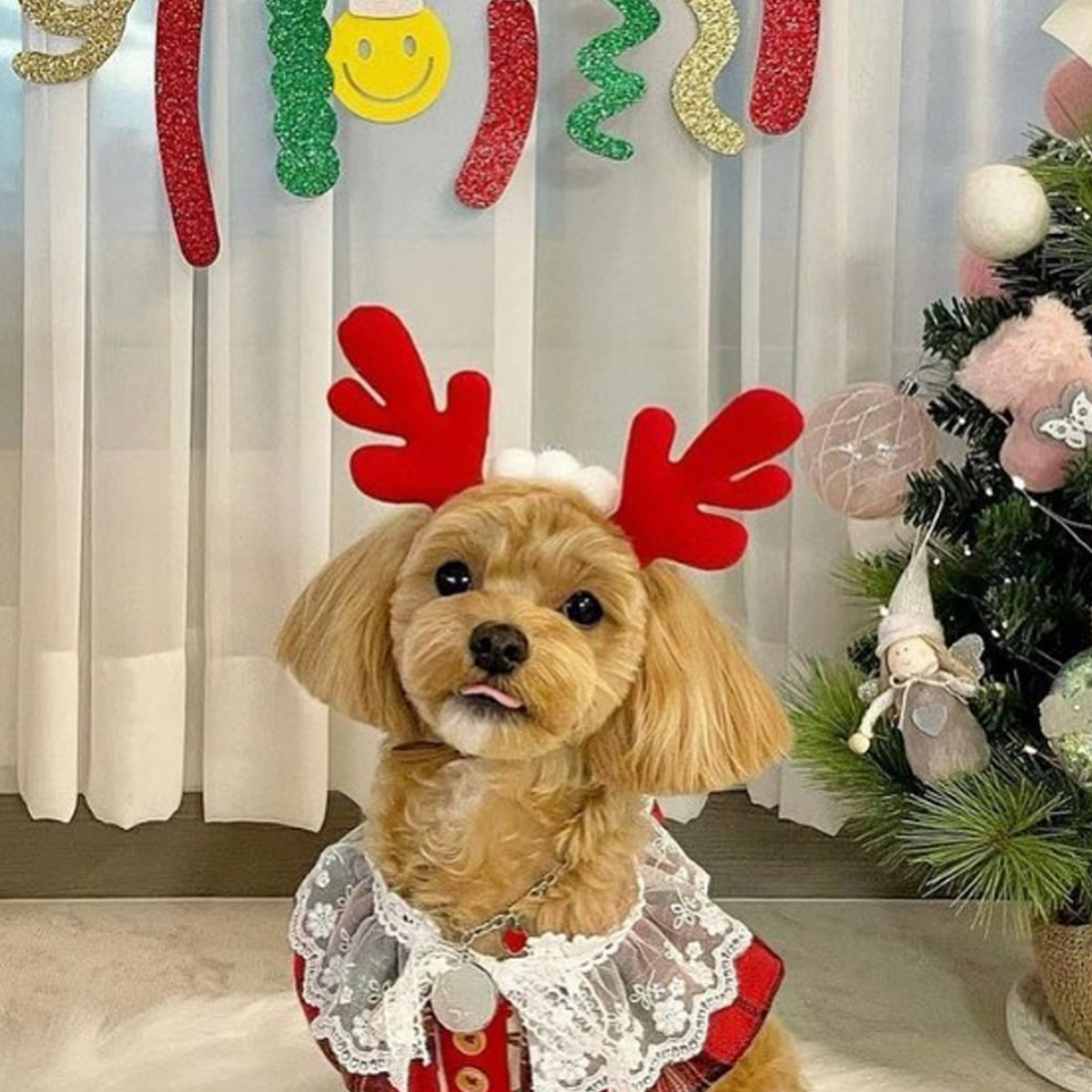 강아지 루돌프밴드 고양이 크리스마스 머리띠